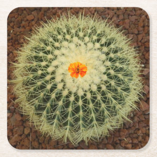 Cactus  and Flower Square Paper Coaster