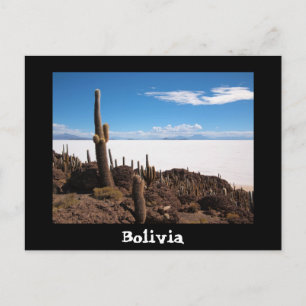 Cactus and Salar de Uyuni text postcard