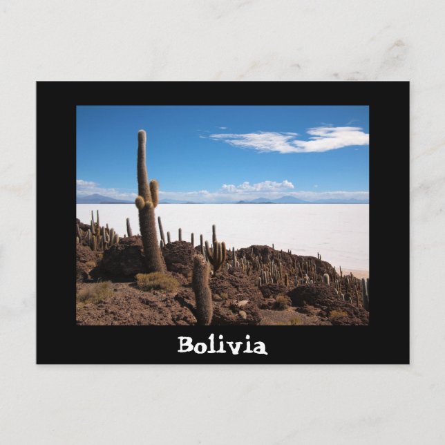 Cactus and Salar de Uyuni text postcard (Front)