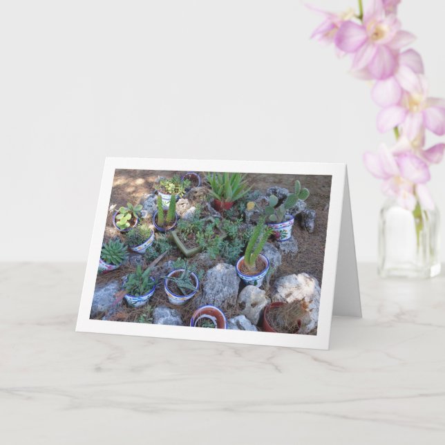 Cactus and Succulent Plant Rockery Card (Orchid)