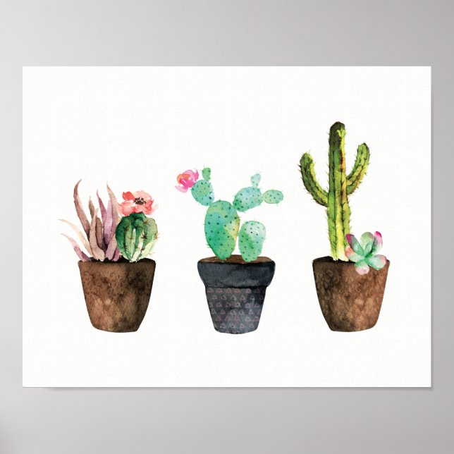 Cactus and Succulent Trio One Poster (Front)
