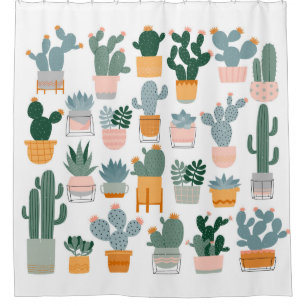 Cactus and succulents in pots on white background.