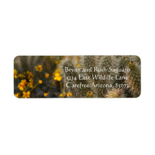 cactus and wildflowers