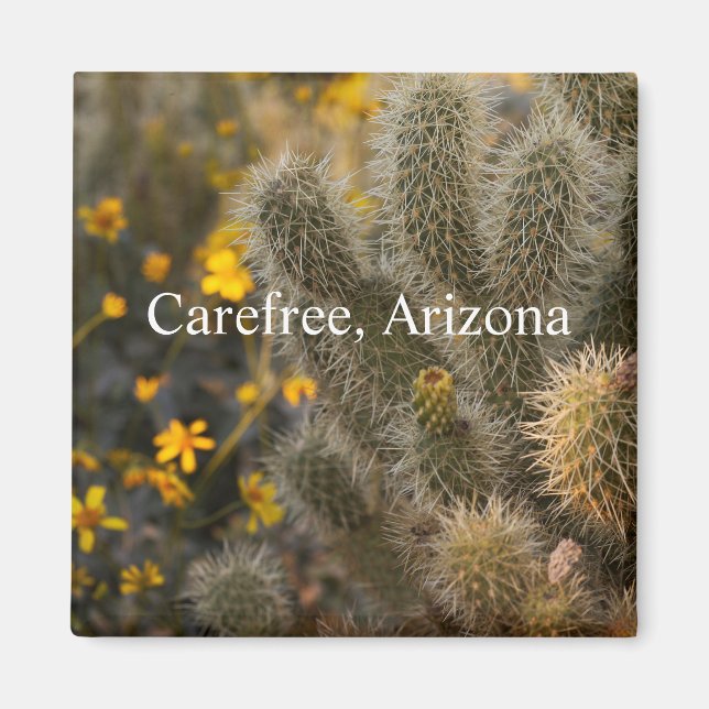 Cactus and wildflowers Carefree, Arizona Magnet (Front)