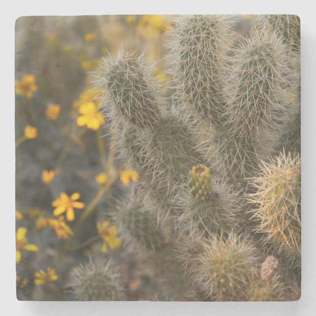 cactus and wildflowers stone coaster (Front)