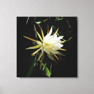 Cactus Bloom Canvas Print
