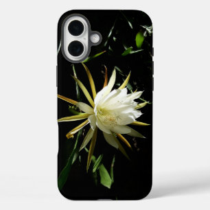 Cactus Bloom iPhone 16 Plus Case