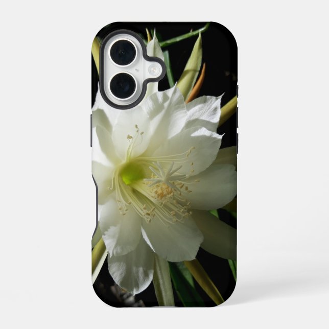 Cactus Bloom iPhone 16 Case (Back)