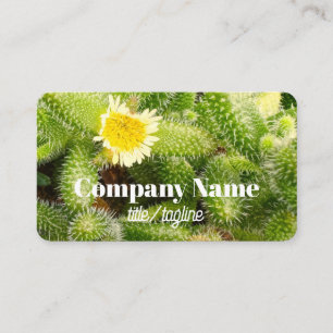 cactus bloom nature photo double sided  business card