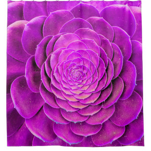 Cactus blossom design