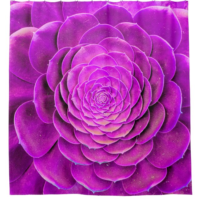 Cactus blossom design (Front)