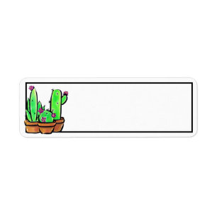 Cactus cactus cactus succulents