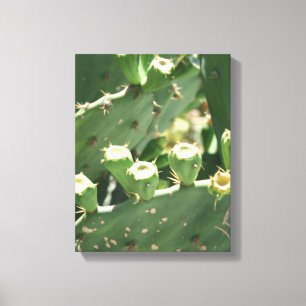 Cactus Canvas Print