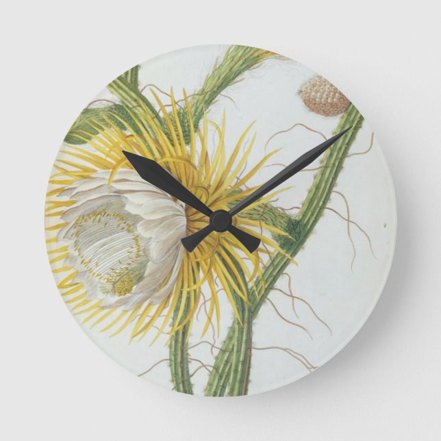 Cactus: Cereus, from Trew's 'Plantae Selectae' 175 Round Clock (Front)