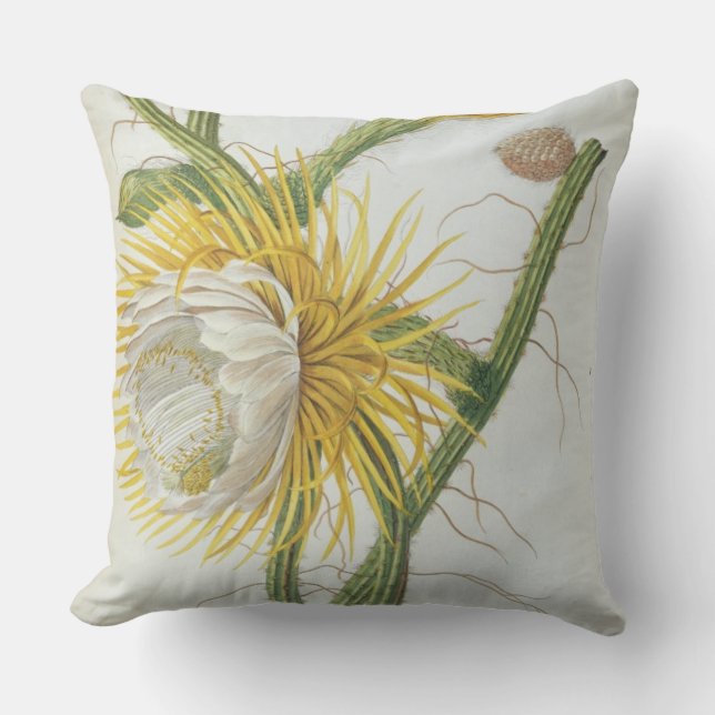 Cactus: Cereus, from Trew's 'Plantae Selectae' 175 Throw Pillow (Front)