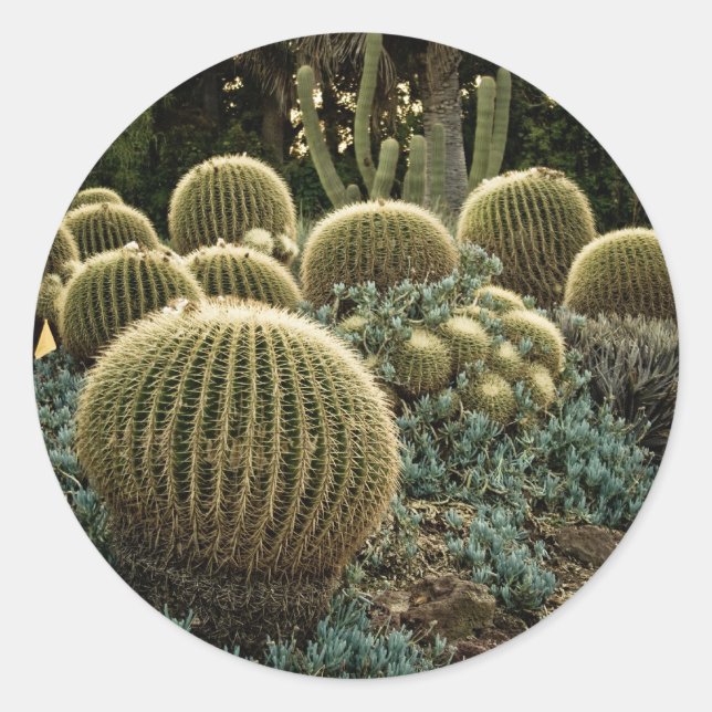 Cactus Classic Round Sticker (Front)