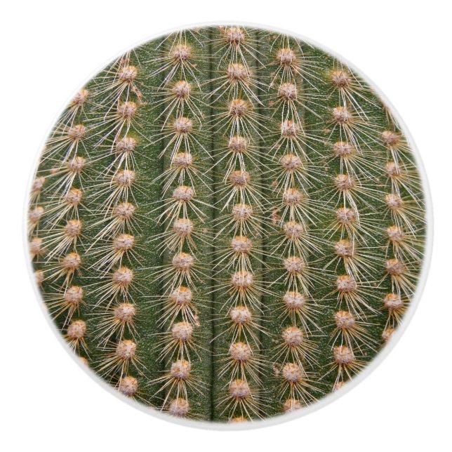 Cactus close up ceramic knob (Front)