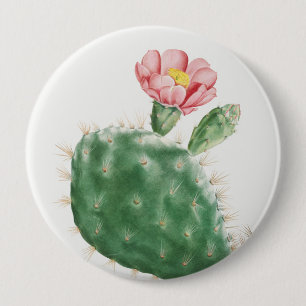 Cactus Cochenillifer, Antique Illustration, 1799  4 Inch Round Button