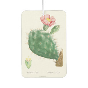 Cactus Cochenillifer, Antique Illustration, 1799  Air Freshener