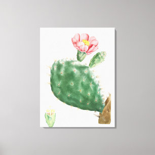 Cactus Cochenillifer, Antique Illustration, 1799  Canvas Print