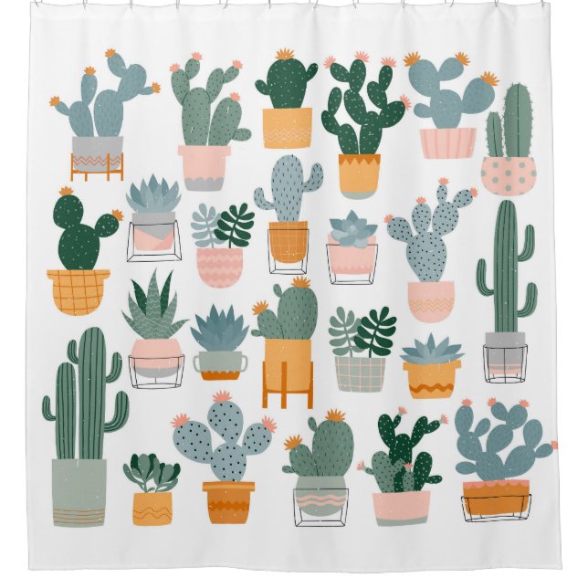 Cactus Collection in Pots Design (Front)
