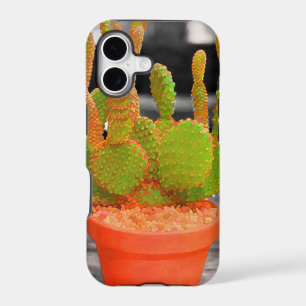 Cactus Coloré
