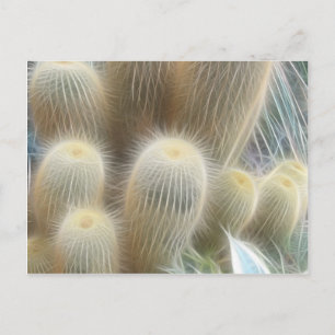 Cactus Colour Lines Postcard