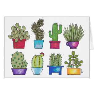 Cactus dans des pots