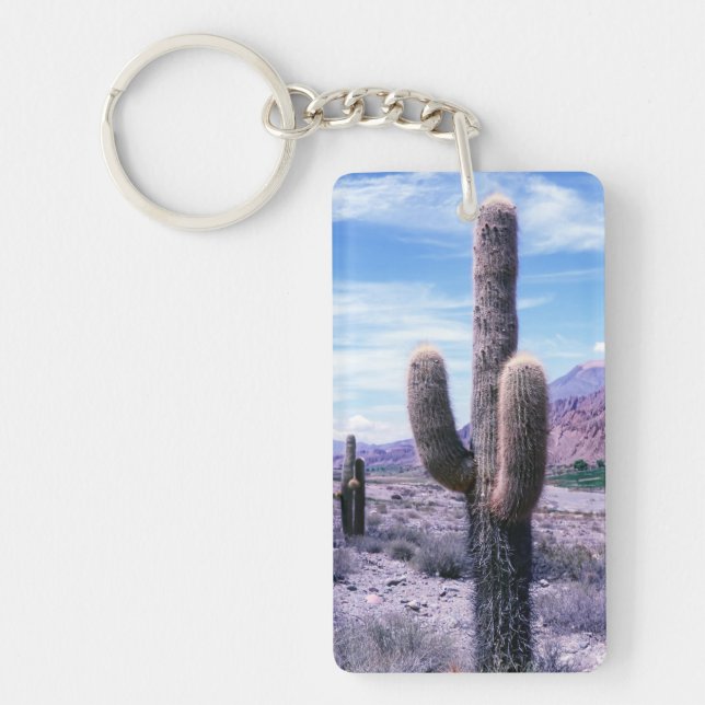 Cactus dans la province de Jujuy - Nord de l'Argen (Devant)