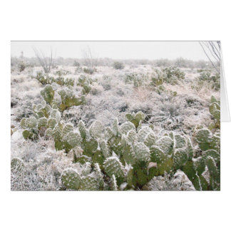 Cactus de neige