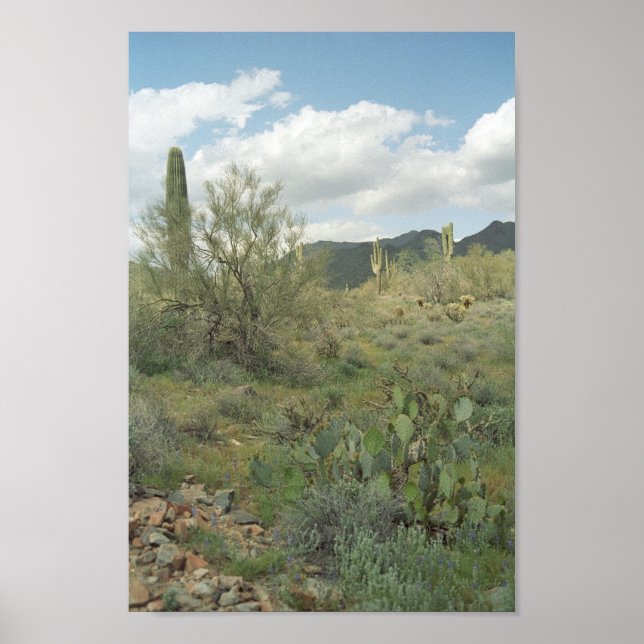 Cactus Desert Coloring Photo Art Print Poster (Devant)