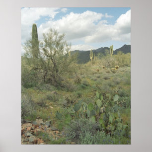 Cactus Desert Coloring Photo Poster Art Imprimer