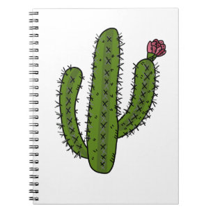 Cactus Desert Plants Cactus Rose Prickly Mexico Notebook