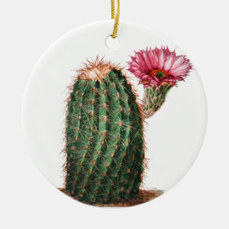 Cactus, Desert, Vintage Botanical, Illustration Ceramic Ornament