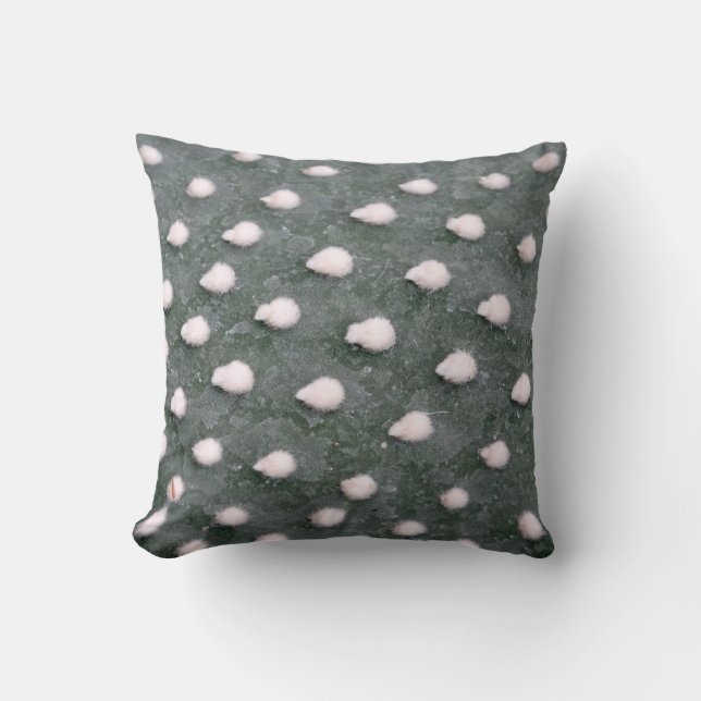 Cactus Détail de la photo Coussin à lancer 41 cm x (Recto)