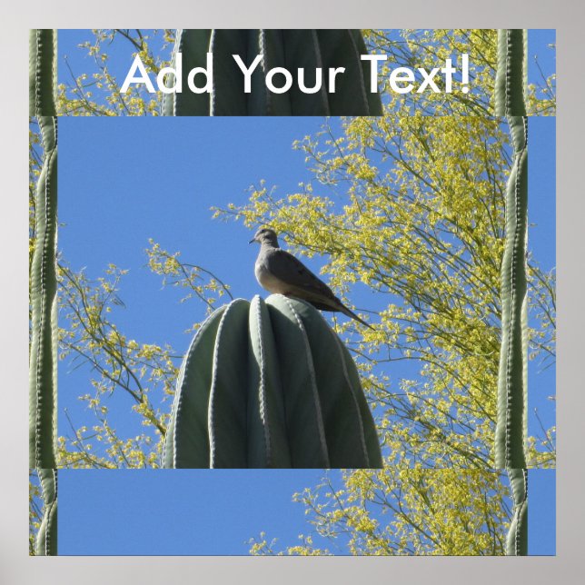Cactus Dove Poster (Front)