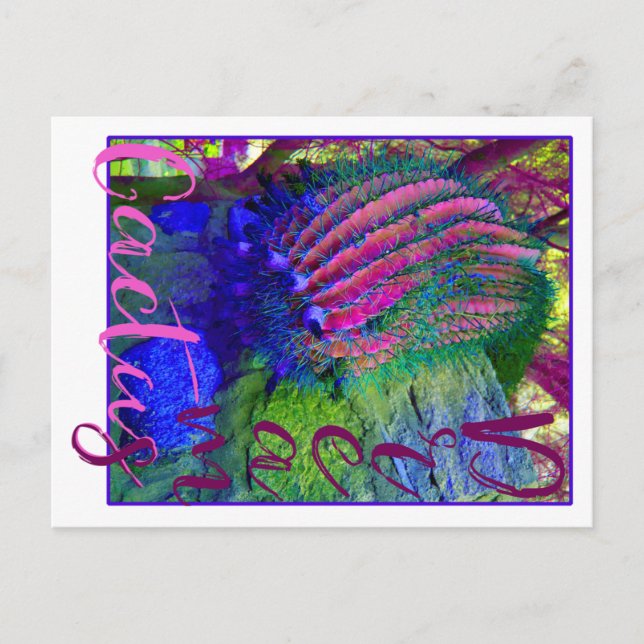 Cactus Dreams neon cactus Southwest postcard (Front)