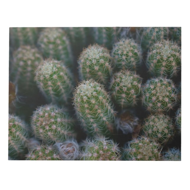 Cactus Family Notepad (Front)