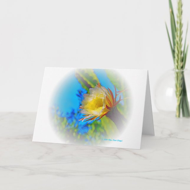 “Cactus Flower #73 Fade” Print Card (Front)