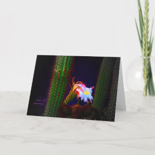 “Cactus Flower At Sunset #105” Photograph Card
