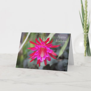 Cactus flower Birthday Card