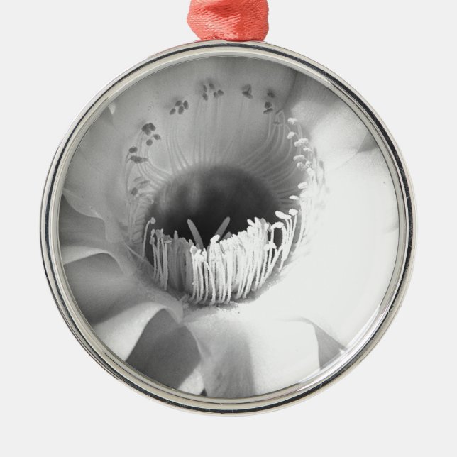Cactus Flower in Black and White #succulent Metal Ornament (Front)