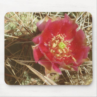 Cactus Flower Mouse Pad