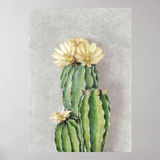 Cactus Flower Painting Poster (Front)