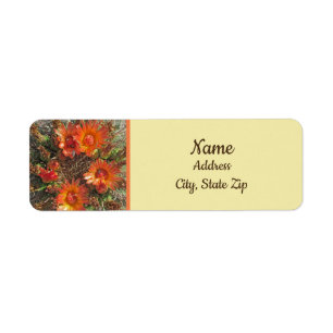 Cactus Flower Photo Bright Orange Floral