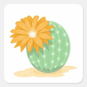 Cactus Flower Square Sticker