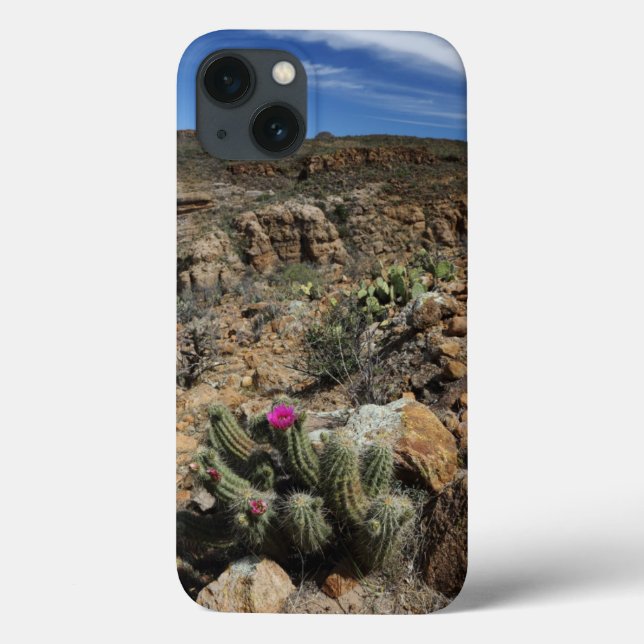 Cactus Flowering Case-Mate iPhone Case (Back)