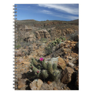 Cactus Flowering Notebook