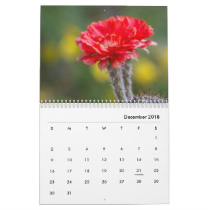 Cactus flowers abound calendar