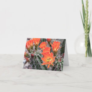Cactus Flowers and Bee   Sunset Blossoms Note Card